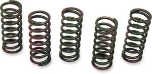 Clutch Springs - VTR1000 Superhawk