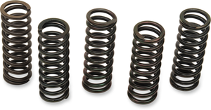 Clutch Spring Set - Honda/Triumph