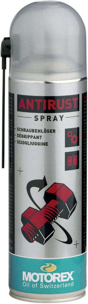 Anti-Rust Spray - 16.9 U.S. fl oz. - Aerosol