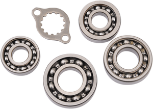 Bearing Kit - Transmission/Replacement - '05-'14 TRX400X/EX