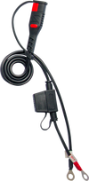 Battery Charger/Maintainer - BS 10 - 6 V/12 V - 1 A - view 6