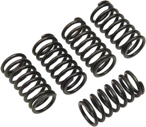 Clutch Spring Set - Honda/KTM