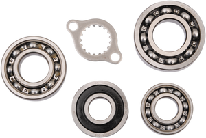 Bearing Kit - Transmission/Replacement - '99-'04 TRX400EX
