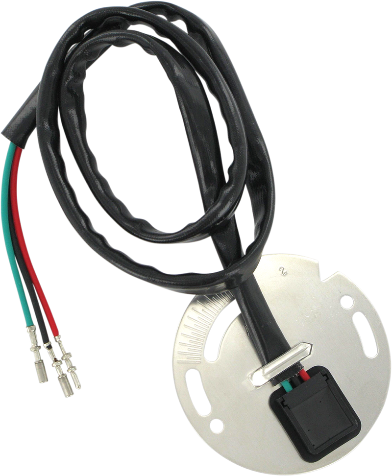 Ignition Sensor Assembly - Harley-Davidson®