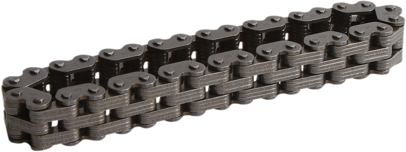 Chain - Transaxle/Transmission/Reverse - '93-'10 Polaris