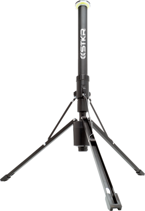 Light - LED - 2600 Lumens - Telescoping - Wireless Remote Control