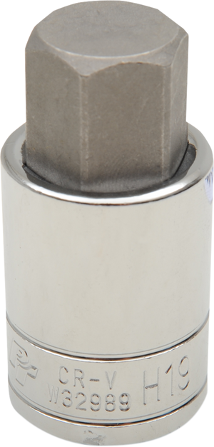 Socket - Fork Cap - Allen