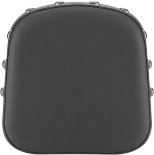 PAD SISSYBAR RENEGADE