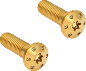 CALIPER MOUNT KIT HOLESHOT 2 PACK GOLD